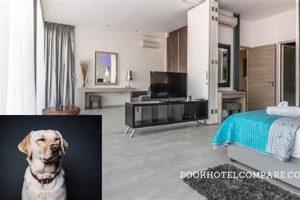 Top Pet-Friendly Weekly Hotels Near You | Crown American Hotels | Luxury, Comfort & Top Destinations