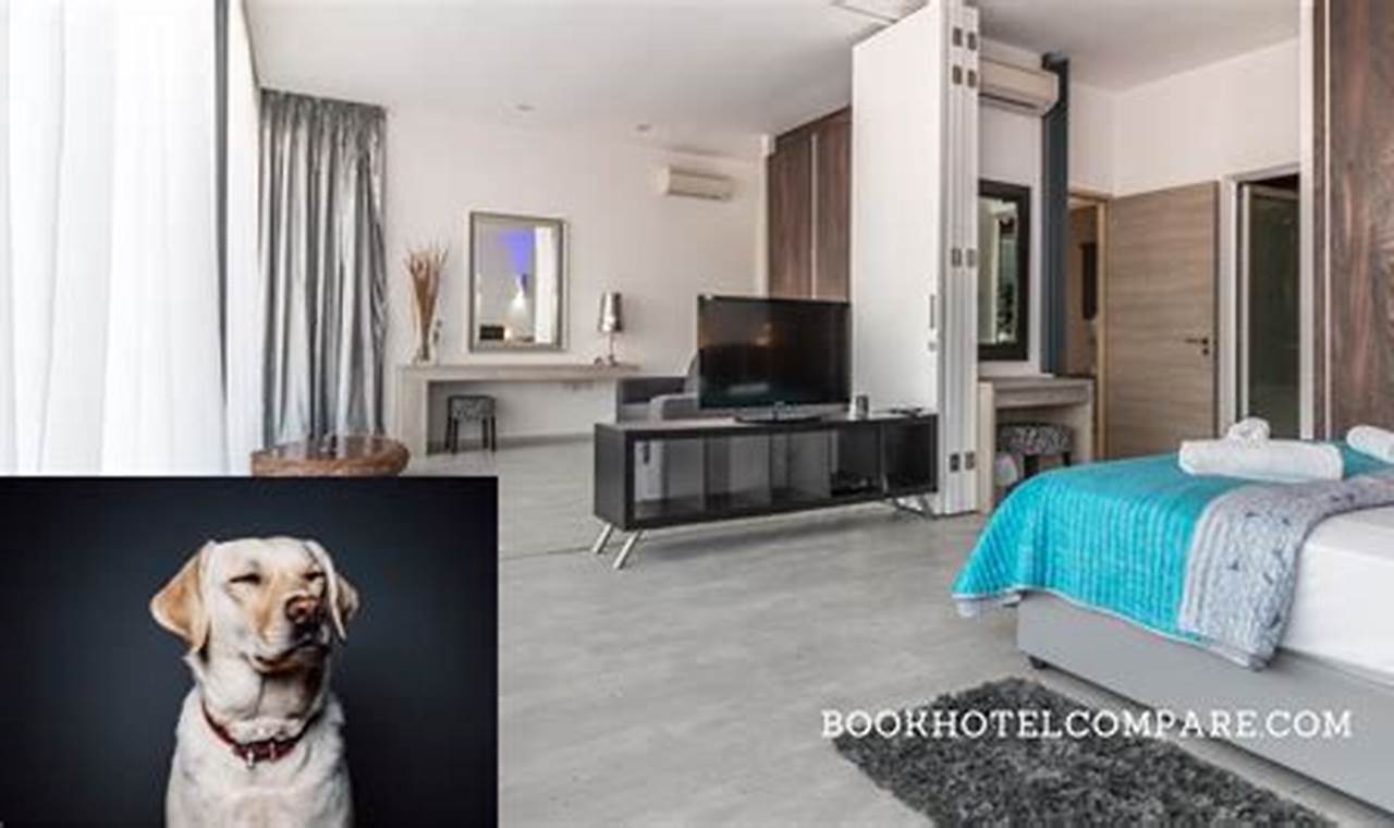 Top Pet-Friendly Weekly Hotels Near You Crown American Hotels | Luxury, Comfort & Top Destinations Top Pet-Friendly Weekly Hotels Near You | Crown American Hotels | Luxury, Comfort & Top Destinations