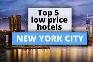 Best Low Price Hotels Near Me: Book Now & Save Crown American Hotels | Luxury, Comfort & Top Destinations Best Low Price Hotels Near Me: Book Now & Save | Crown American Hotels | Luxury, Comfort & Top Destinations
