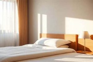 Find Cheap Rooms Near Me Now: Best Deals | Crown American Hotels | Luxury, Comfort & Top Destinations